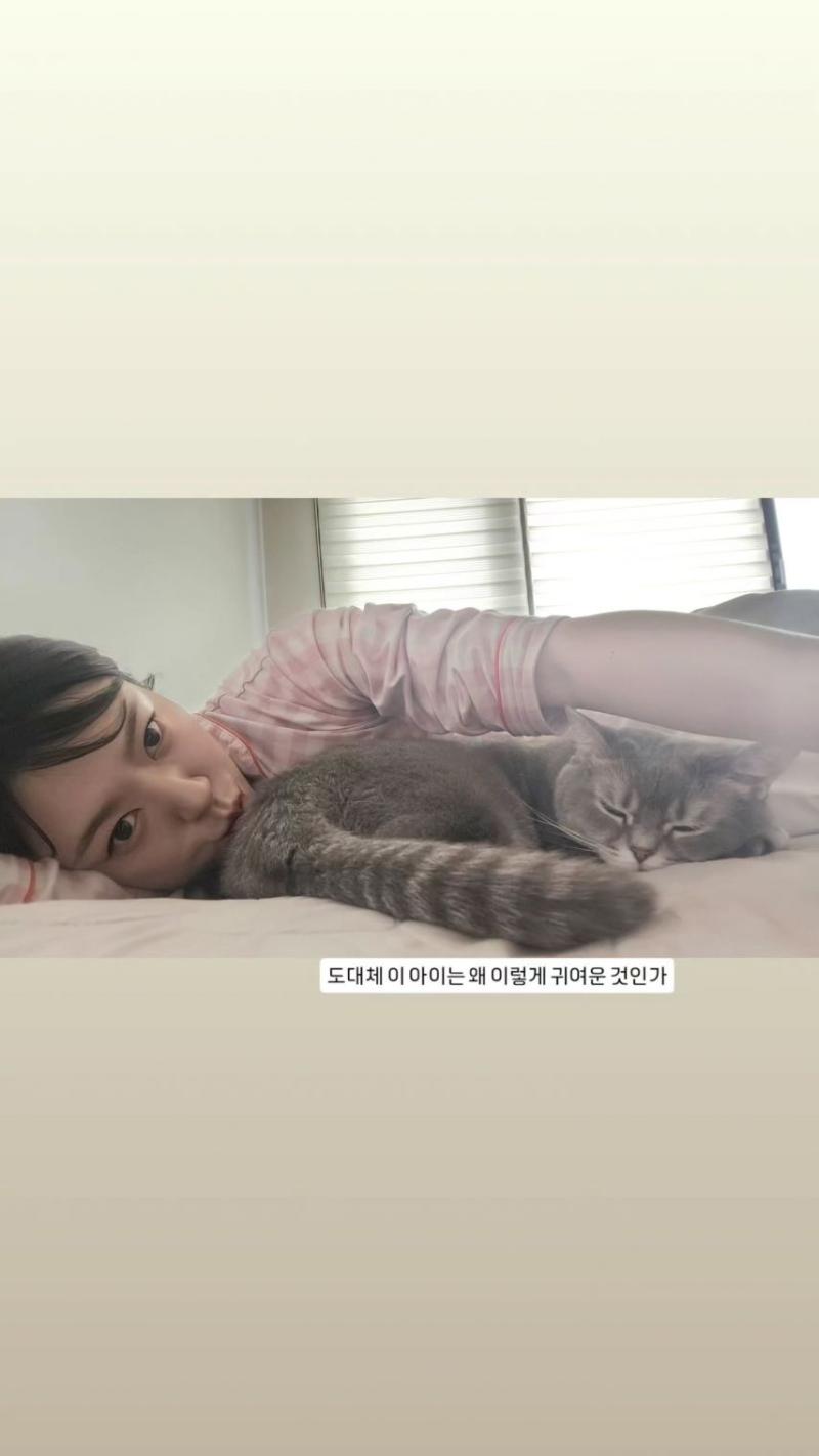 묘장군 김묘성