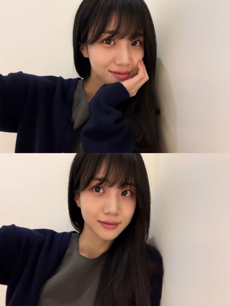 홍화연