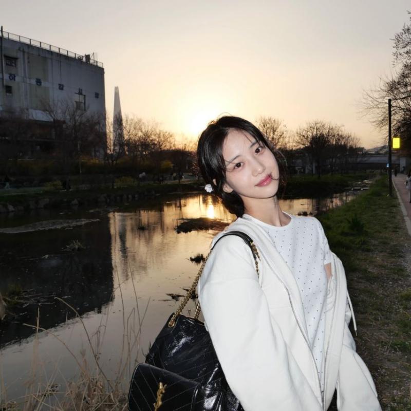 홍화연