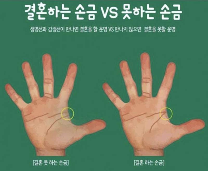 결혼하는 손금vs못하는 손금