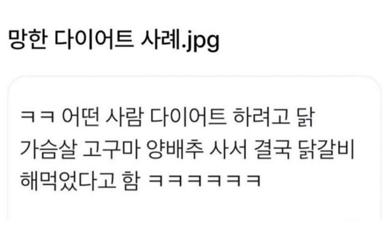 망한 다이어트