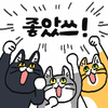 한여름 코인 세탁소에서 목격했던 사건