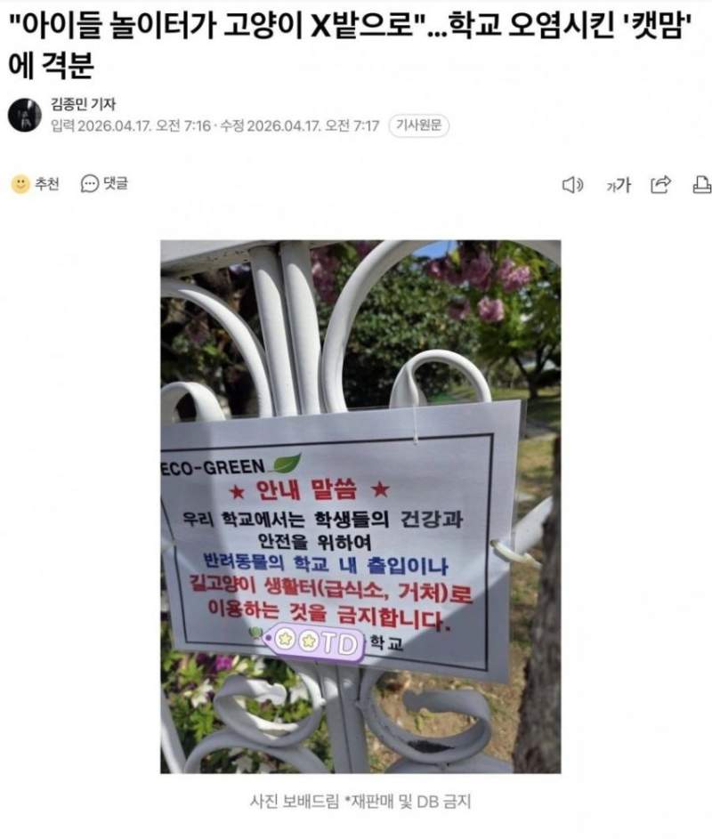 '아이들 놀이터가 고양이 X밭으로'. 학교 오염시킨 '캣맘'에 격분
