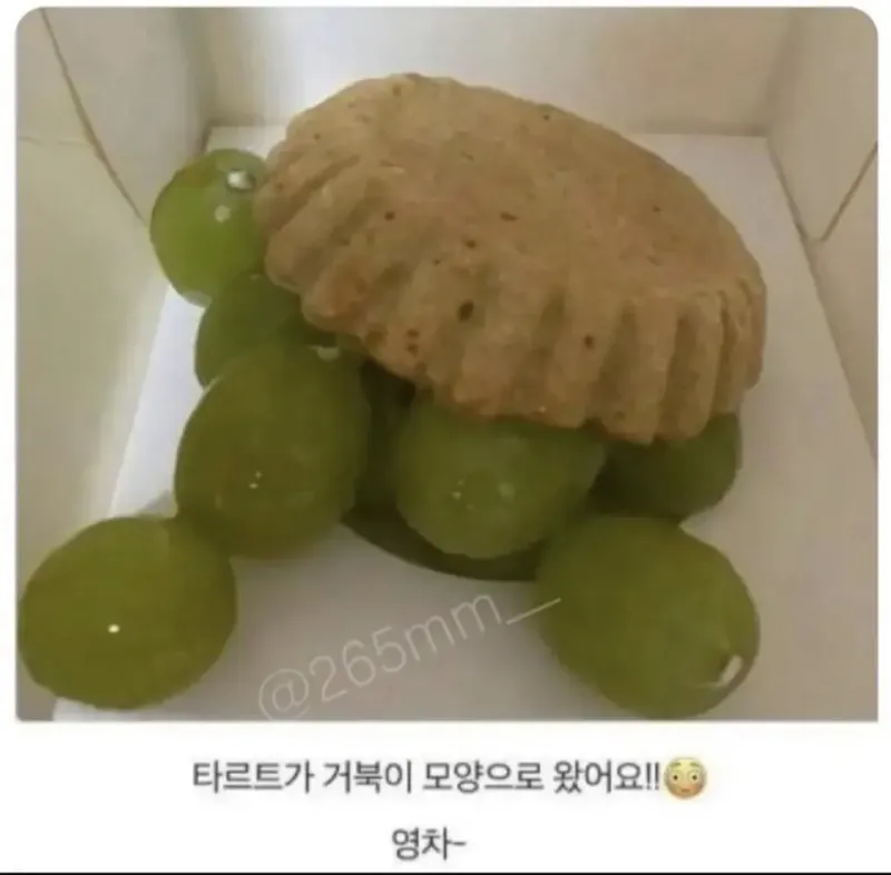 긍정적인 음식배달후기