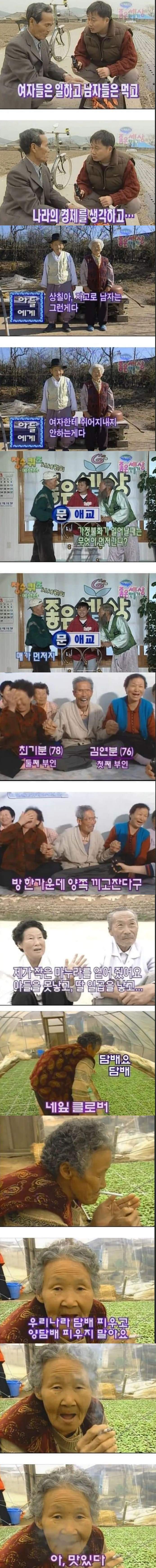 노빠꾸 옛날 예능