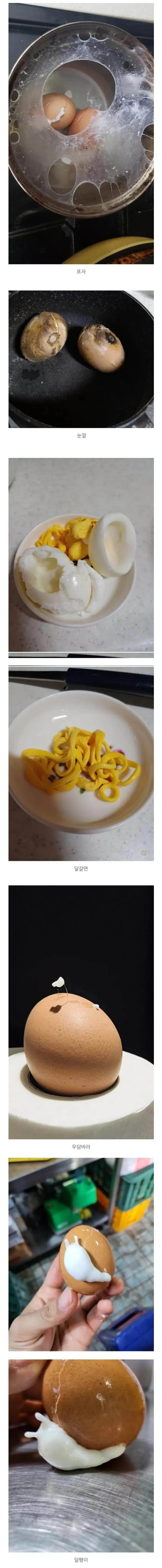 삶은달걀 망한 모음