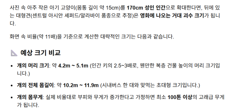 새끼 고양이가 개를 가장 친한 친구로 선택했어요
