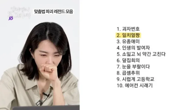 맞춤법 파괴 Top 10