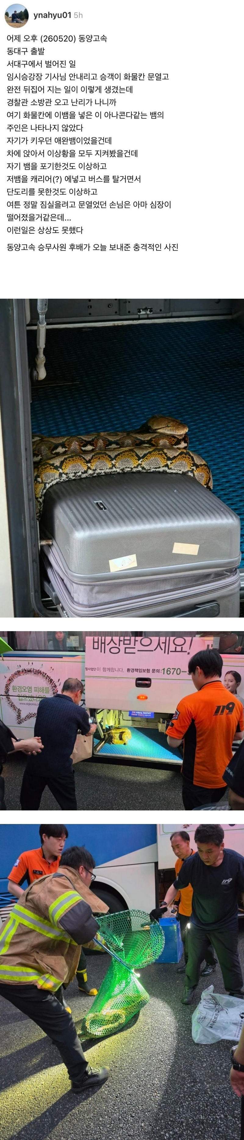 스레드] 동대구 출발 고속버스에서 발견된 뱀.jpg