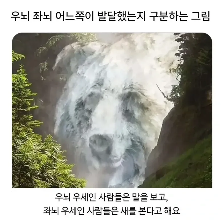 우뇌 좌뇌 어느쪽이 발달했는지 구분하는 그림.jpg