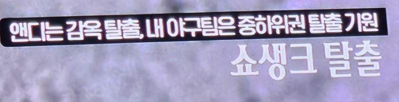 실시간 ocn 자막 근황