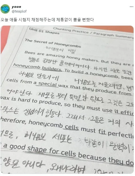 애들 시험지 채점하다 체통없이 뿜을 뻔함.jpg