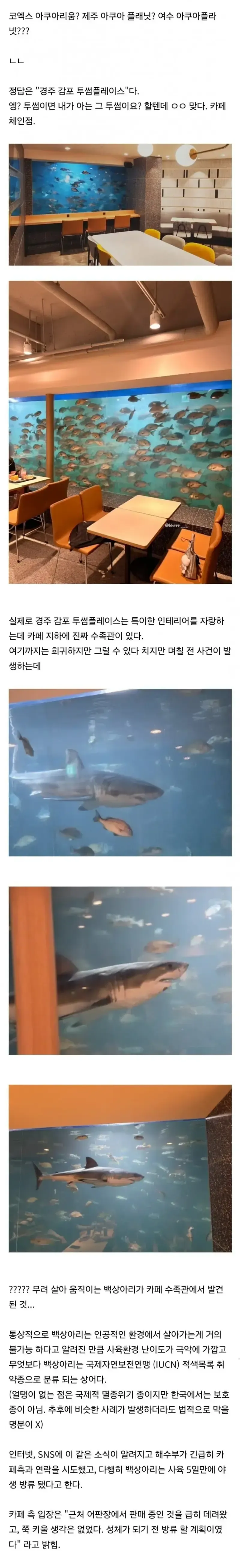 카페수족관 레전드 갱신