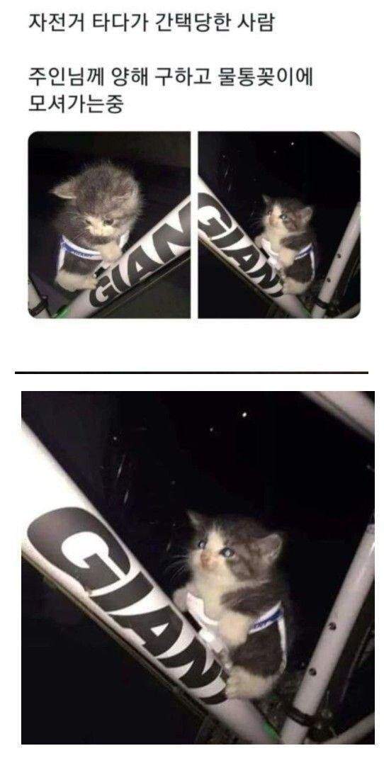 나를 키워라 너로 정했다