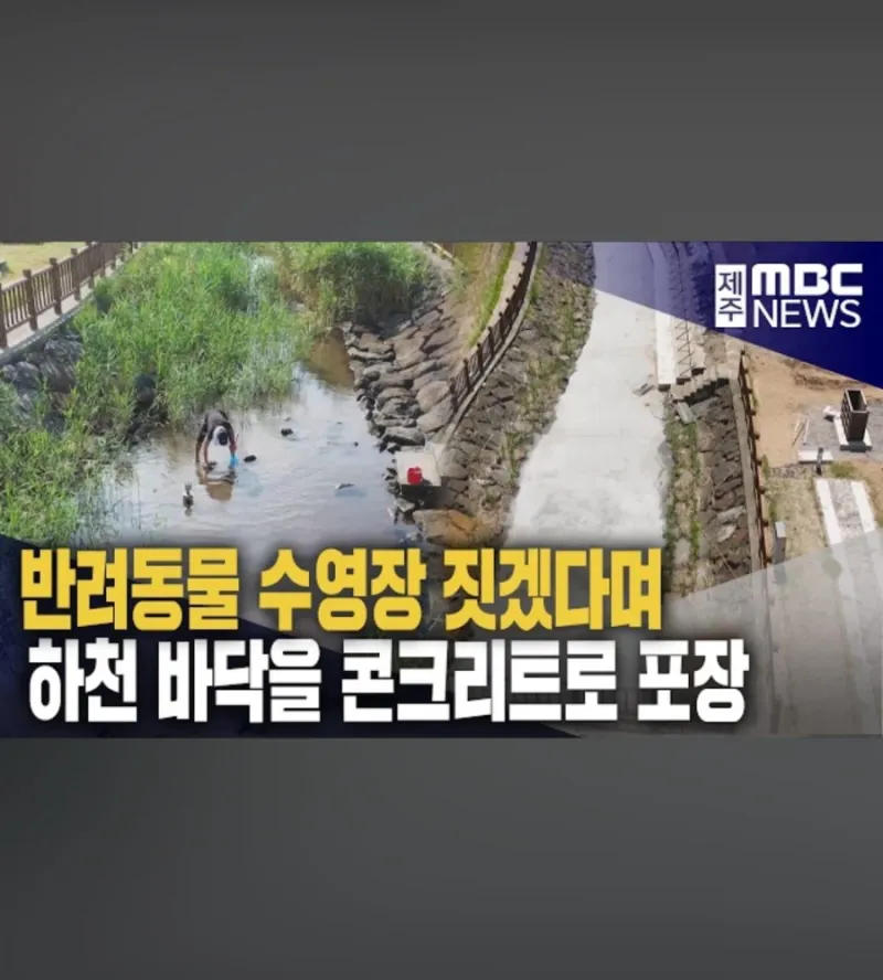 멀쩡했던 하천을 공구리 쳐버린 이유