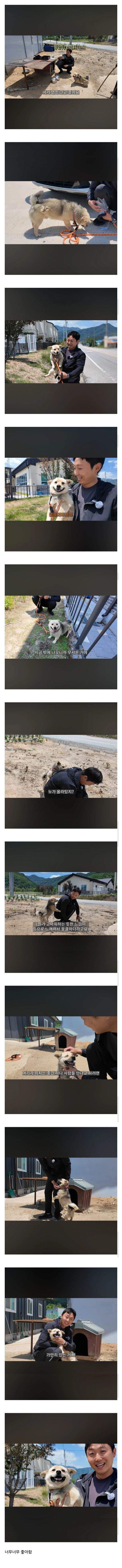 평생 묶여있던 시골똥개 산책시키기.jpg
