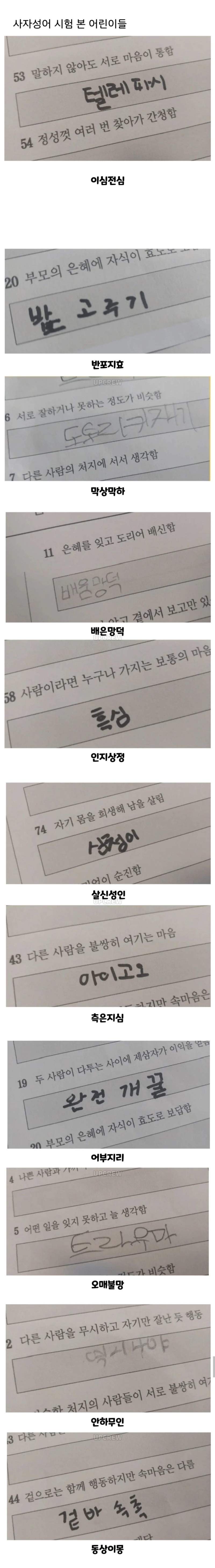 사자성어 시험본 어린이 답안지
