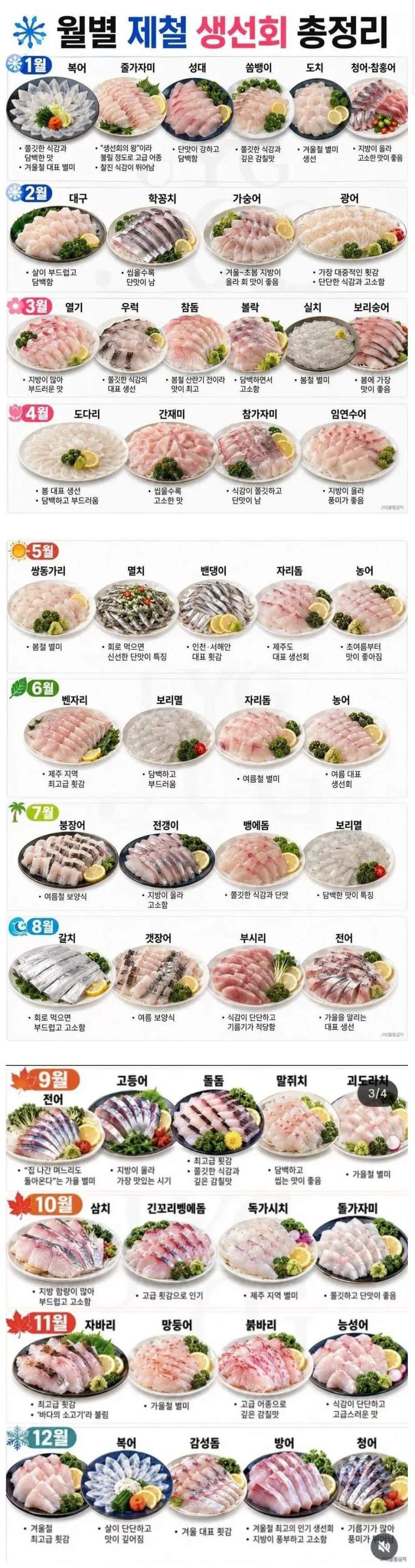 월별 제철 생선회.jpg
