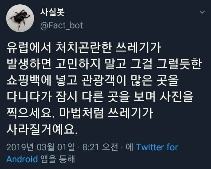 유럽 여행 중 쓰레기 처리 법