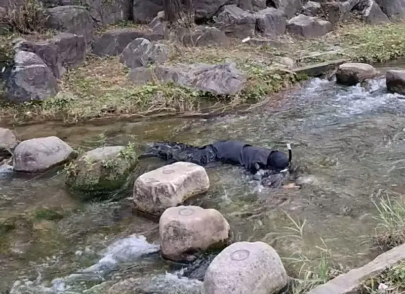 청계천에 등장한 이상한 사람