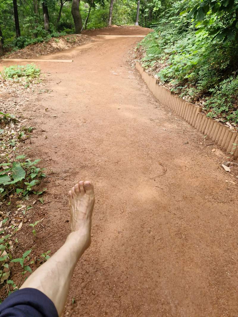홤토  칼라 선명한 도래울 산숲