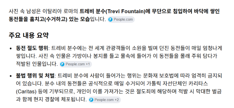 트레비 분수에 들어가 동전 훔치는 흑인