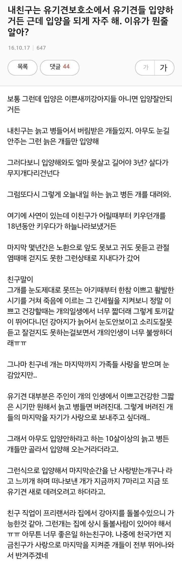 늙은 유기견만 입양하는 친구