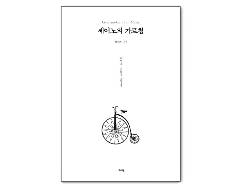 세이노의 가르침 : 피보다 진하게 살아라