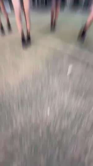 하이키