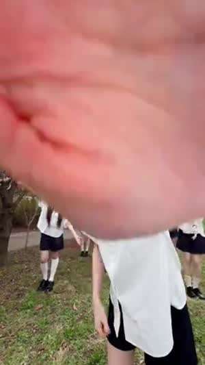세이마이네임