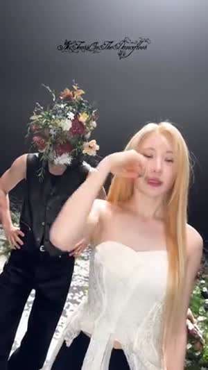 이채연