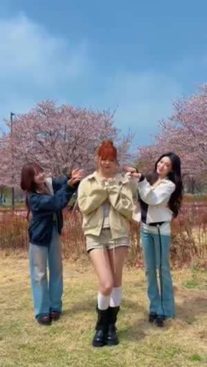 르세라핌 홍은채,청하,최유정