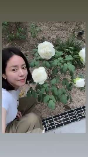 한지민 인별