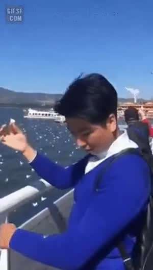 복수