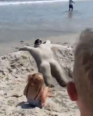 해변의 아이들