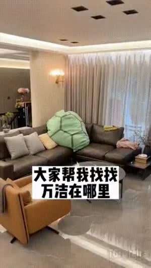 거북이 소녀