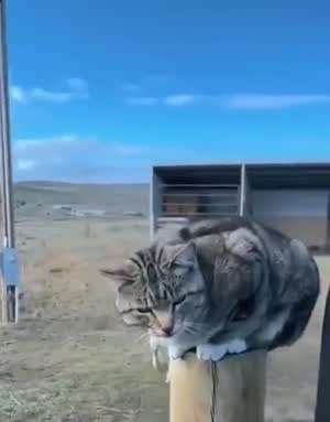 야! 타!.gif