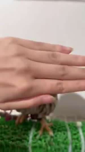 빼꼼~