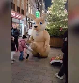 수상한 캥거루