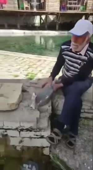 노인과 새