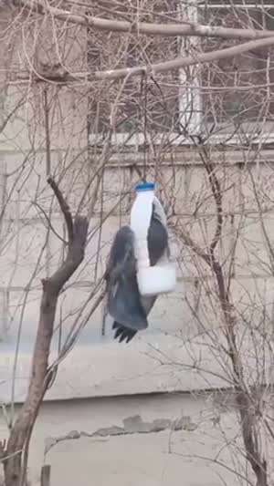거 재미있네