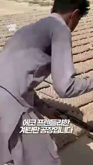 인도에서 친환경 계란판을 만드는 방법