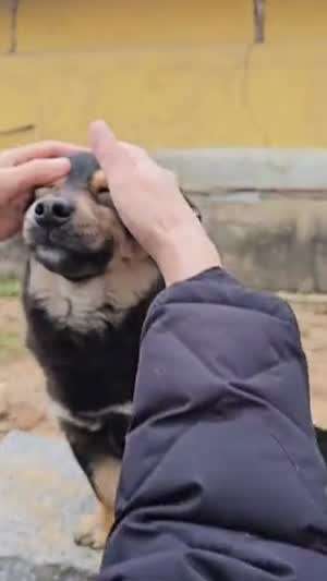 헤헤헤 오늘이? 월.화.수.목. 목요일이여~ 오늘은! 비가 많이 온디야