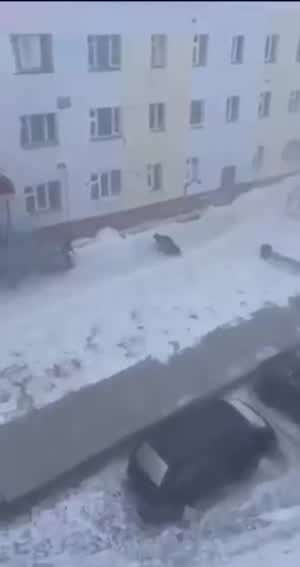 강한 바람