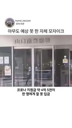 자체 모자이크