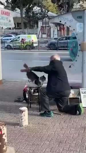 고갱님 털이 너무 상했다
