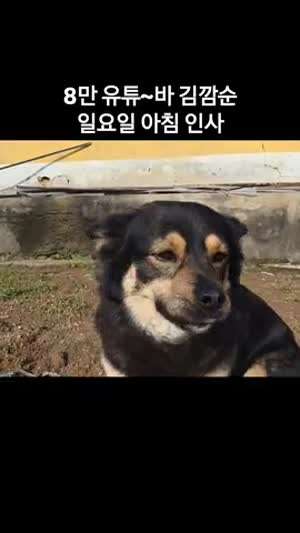 깜  오늘 일요일이여 아이고~ 일요일 날도 우리는 출근하네~