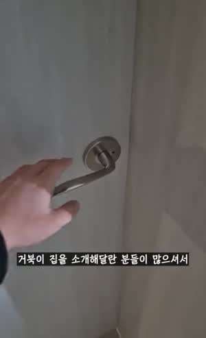 거북이집을 소개합니다