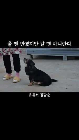 안냥~해 안녕~ 아니 언니 쳐다봐야지 야 내가 고구마 줬잖아 오늘