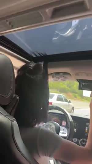 썬루프에 머리카락 낀 여성